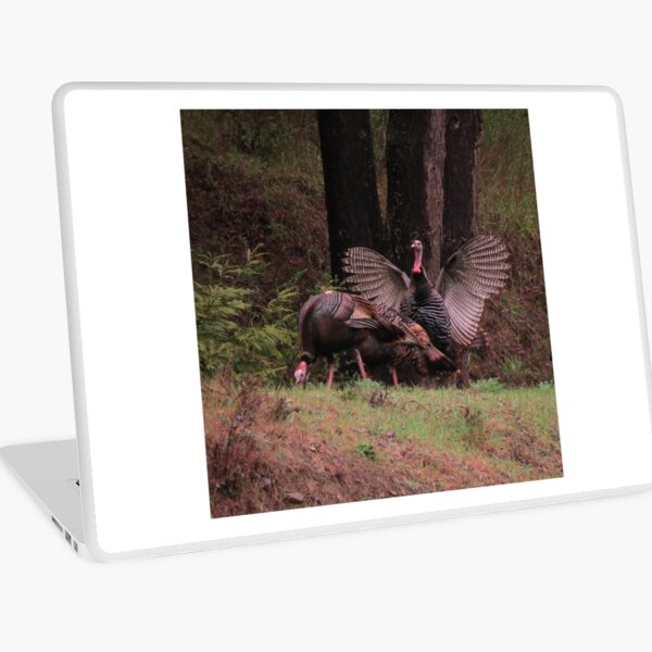 Wild Turkeys in the Forest Laptop Skin
