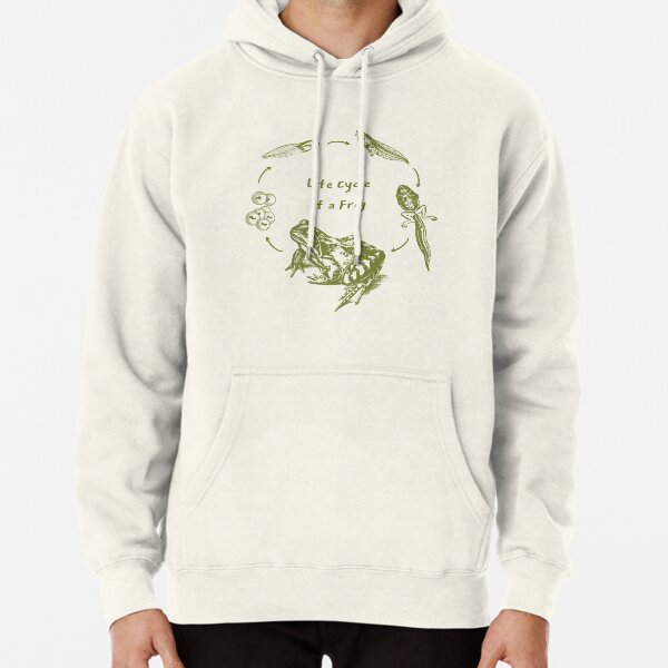 Frog and Toad Fishing | Pullover Hoodie