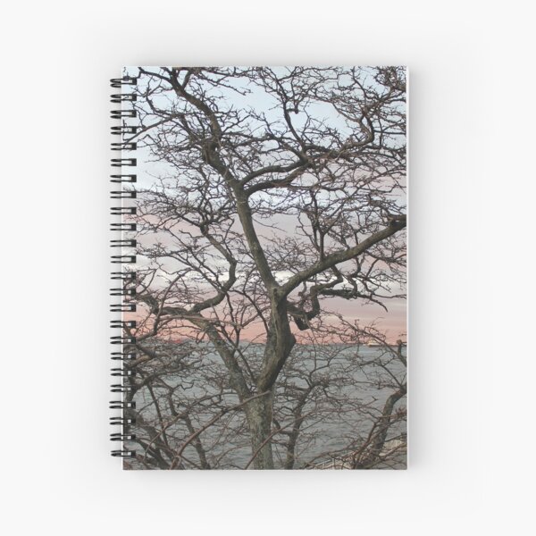 Sunset, pink clouds, exotic curved branches of a tree, beautiful view Spiral Notebook