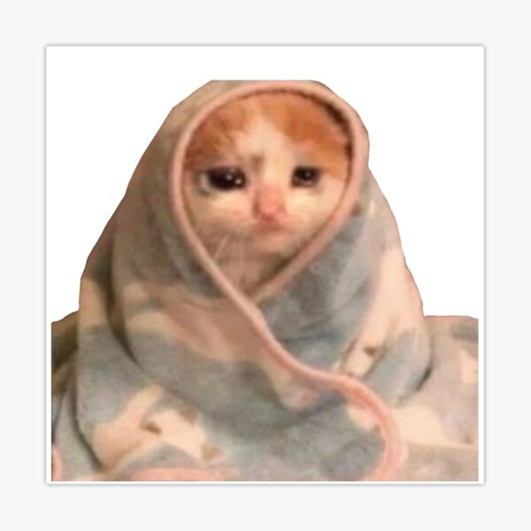 Sad Cat Meme