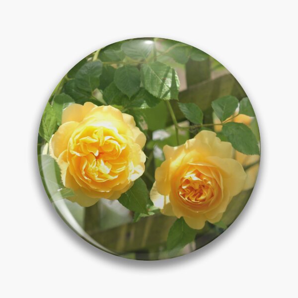 Item preview, Yellow rose trellis designed and sold by LorrieBee.