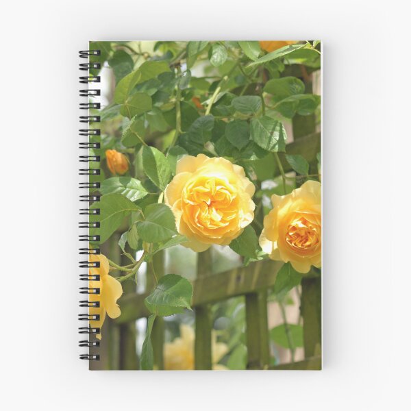 Item preview, Yellow rose trellis designed and sold by LorrieBee.