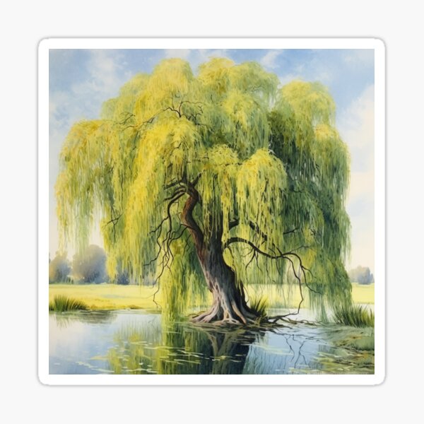 Falling Leaves retailer Weeping Willow Tree Decal