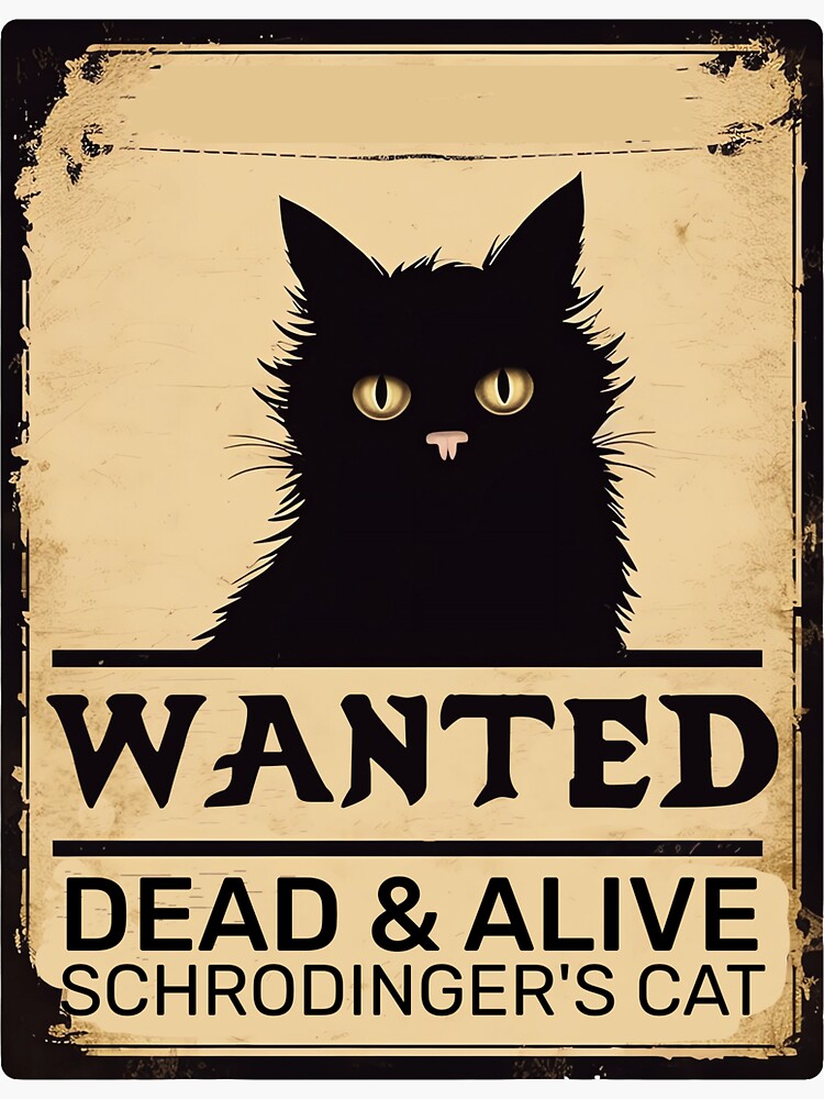 Wanted dead 2024 and alive cat