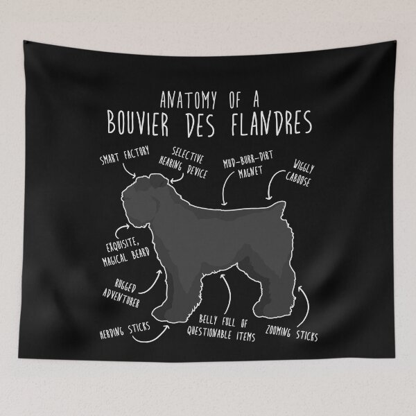 Item preview, Bouvier Des Flandres Dog Anatomy designed and sold by Clara Hollins.