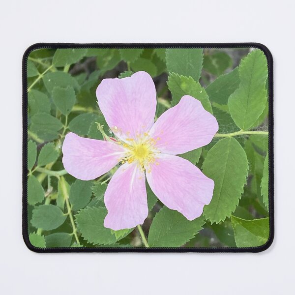 Item preview, Wild Rose designed and sold by Image-Prints.
