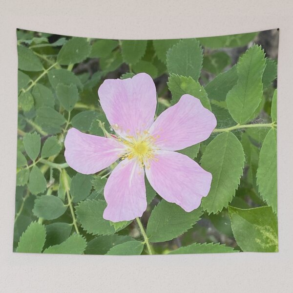 Item preview, Wild Rose designed and sold by Image-Prints.