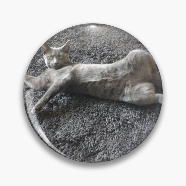 Item preview, #292 |☼| Mimi Sprawled Out - Shot 2 (Cats) designed and sold by Naean H.F. (Nez Man).