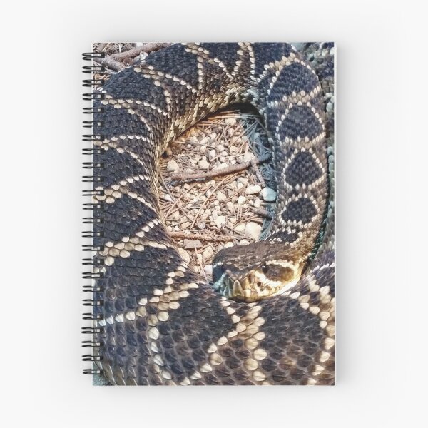 Item preview, Diamondback rattlesnake designed and sold by Alexey Dubrovin.
