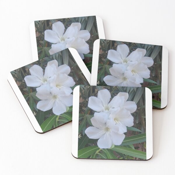 Item preview, Beautiful white flowers images. designed and sold by Agift4u.