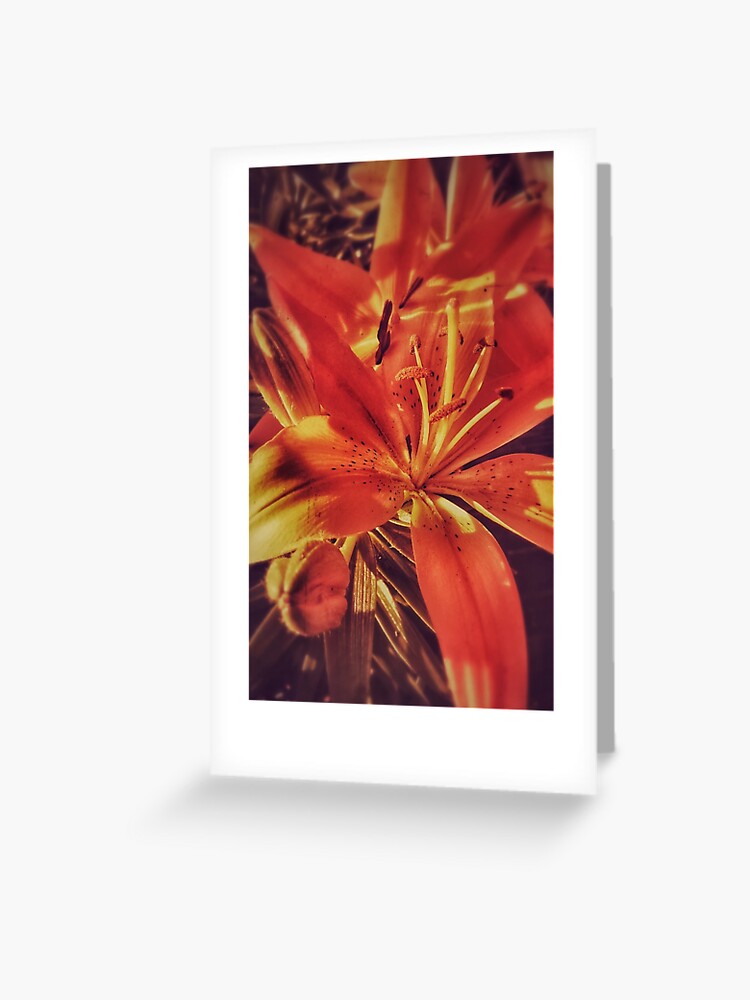 Thumbnail 1 of 2, Greeting Card, Tigress designed and sold by efgracearts.