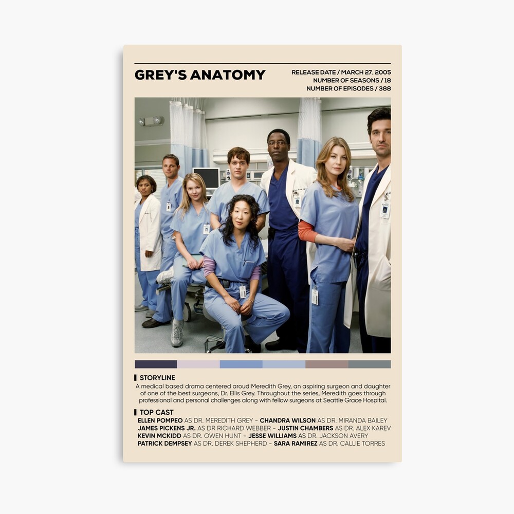 Grey’s Anatomy Tv Show Poster, Doctor Nurse Tv Series Wall Art Photographic Print