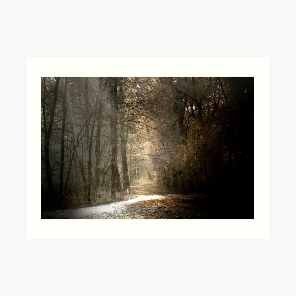 Last snow? Art Print