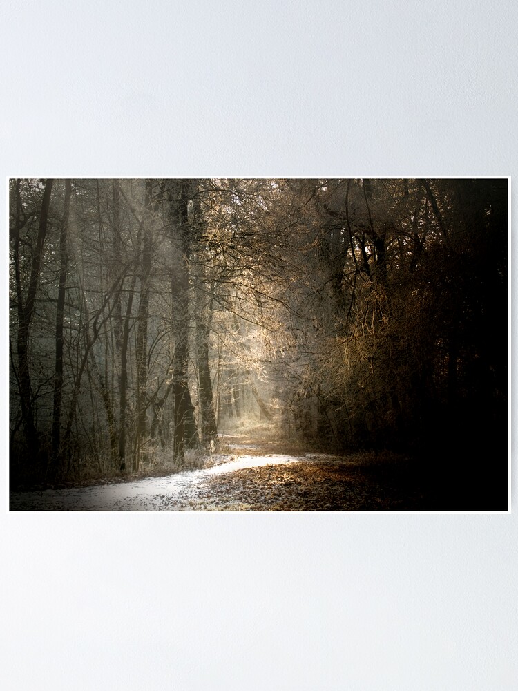 Alternate view of Last snow? Poster