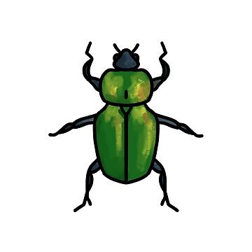 Artwork thumbnail, Beetle by Reeseworks