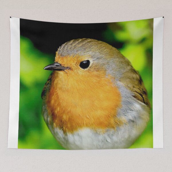 Item preview, Louie Robin in Sunshine designed and sold by ejcwildart.