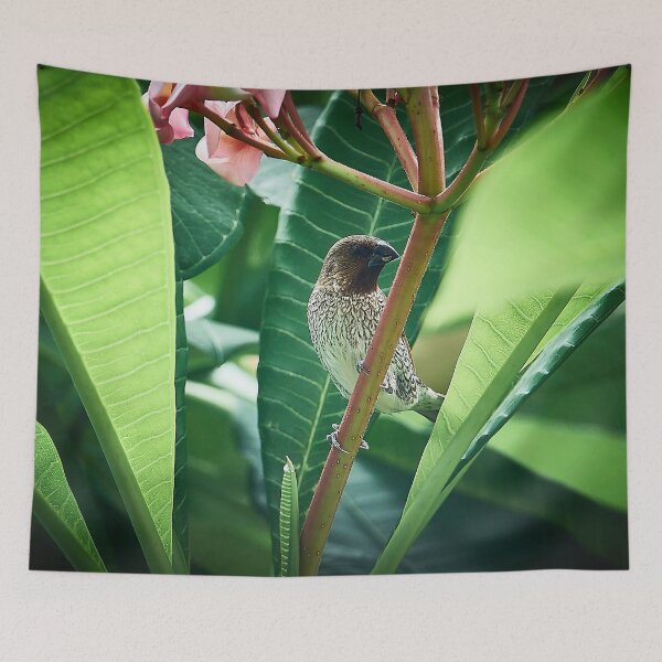 Item preview, The melodious bird designed and sold by franck380.