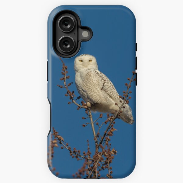 Item preview, Snowy Owl 2018-2 designed and sold by Thomasyoung.