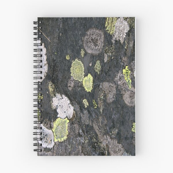Item preview, lichen designed and sold by KathleenDawson.