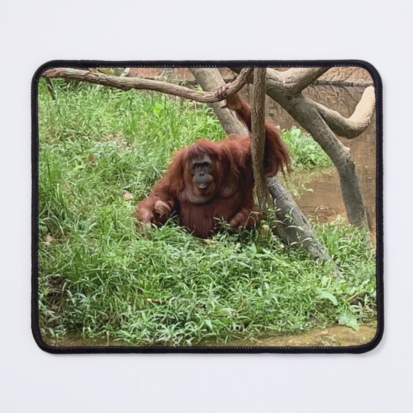 Item preview, Smiling Orangutan designed and sold by Nature Photography by Wendi Gordon.