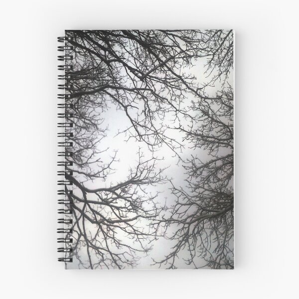 Item preview.