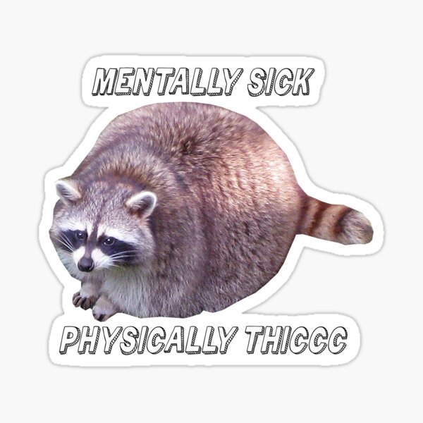 Physically Pained, Mentally Drained Raccoon Meme Sticker for Sale