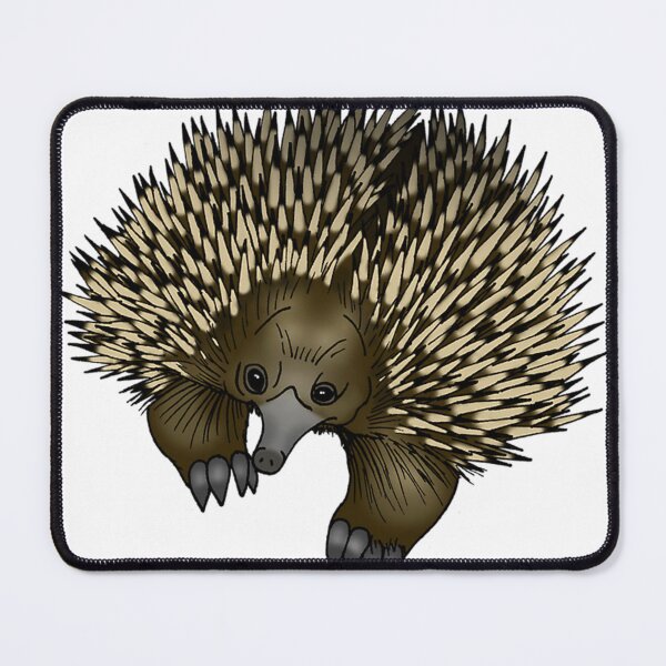 Artikelvorschau, Schmerz Echidna Whoopees entworfen und verkauft von ElaineClothesK.