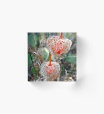 Nature's little jewels Acrylic Block