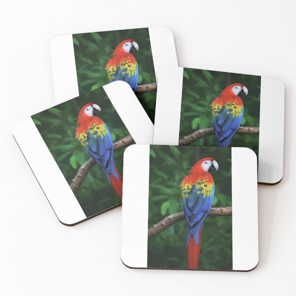 Item preview, Beauty Parrot Colorfull designed and sold by mehlihunte.