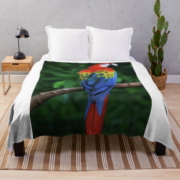 Item preview, Beauty Parrot Colorfull designed and sold by mehlihunte.