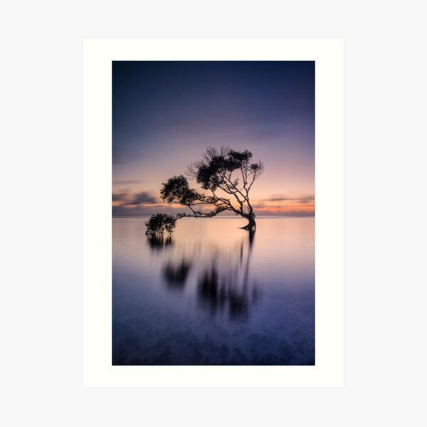 Sun Dancer Art Print