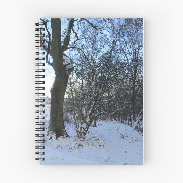 Item preview, Snowy day in Woods at Falkirk Wheel designed and sold by LynneBlair.