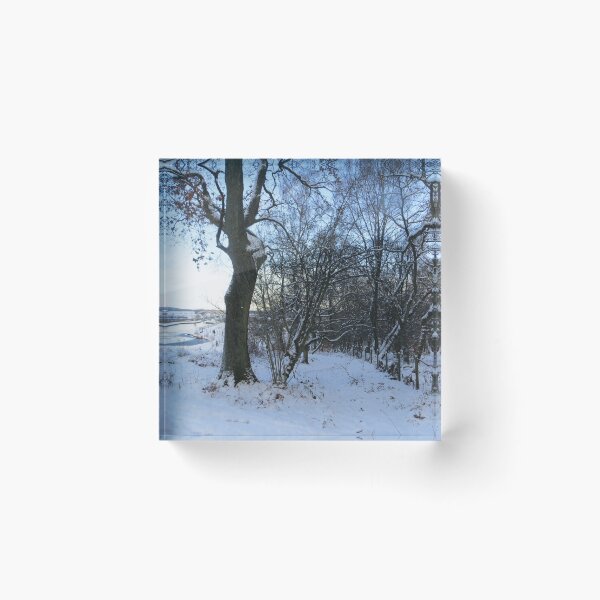 Item preview, Snowy day in Woods at Falkirk Wheel designed and sold by LynneBlair.