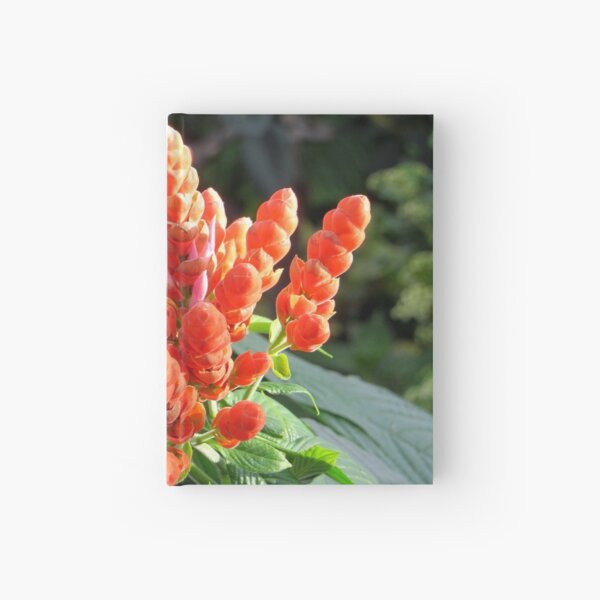 Eye's On You Hardcover Journal