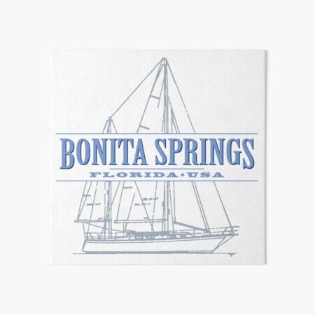 Vista previa del artículo con la obra «Bonita Springs Florida», diseñado y vendido por Futurebeachbum.