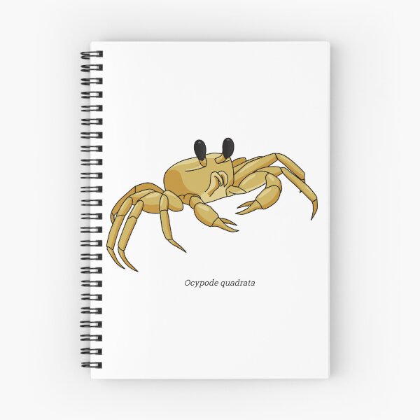 Item preview, Ocypode - crab designed and sold by Wittylot.