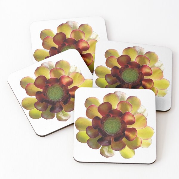 Item preview, summer memories, succulent designed and sold by Erkadesign.