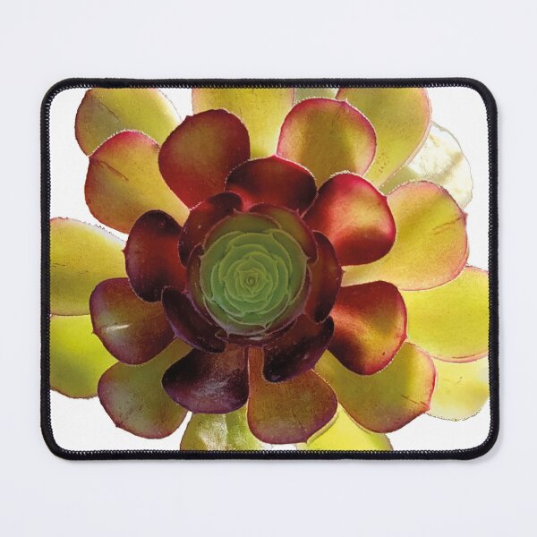 Item preview, summer memories, succulent designed and sold by Erkadesign.