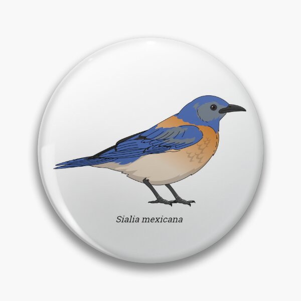 Item preview, Sialia - western blue bird designed and sold by Wittylot.