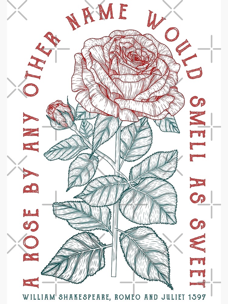 Sweet Juliet Roses London - Sweet Juliet Roses Delivery London