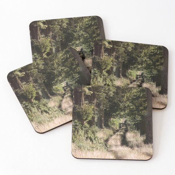 Item preview, Enchanted Forest Path designed and sold by Visual-Elixir.