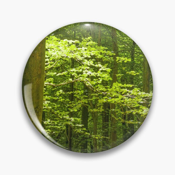 Item preview, Fforest Fawr Woods near Cardiff  designed and sold by Cameranick.