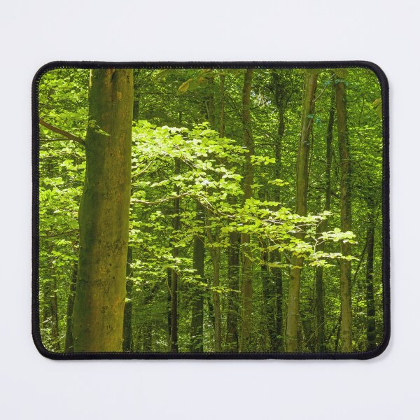 Item preview, Fforest Fawr Woods near Cardiff  designed and sold by Cameranick.