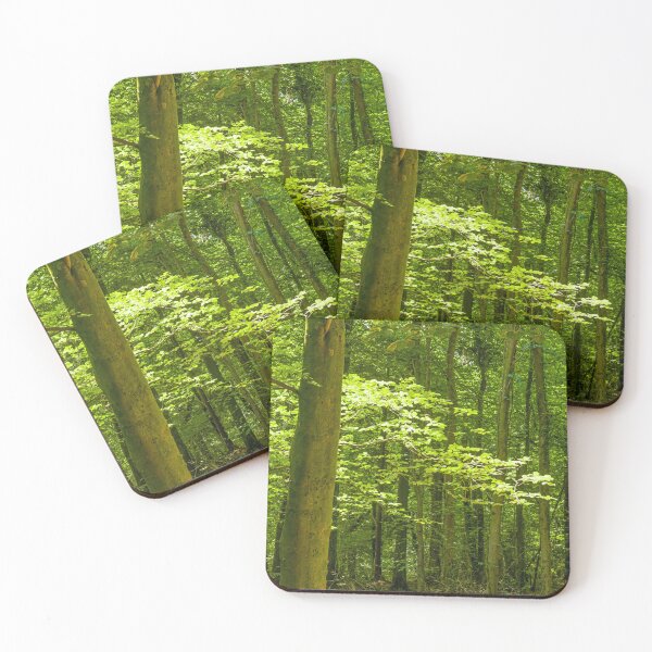 Item preview, Fforest Fawr Woods near Cardiff  designed and sold by Cameranick.