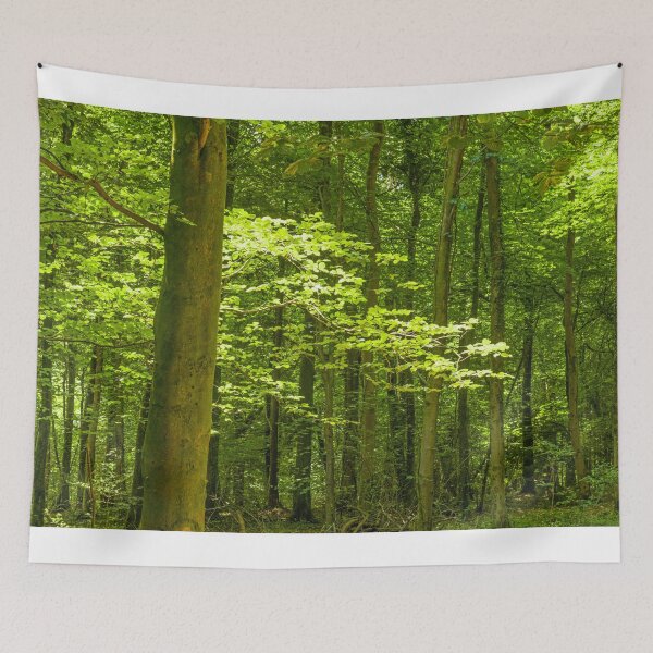 Item preview, Fforest Fawr Woods near Cardiff  designed and sold by Cameranick.