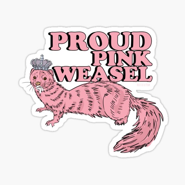 st,small,507x507-pad,600x600,