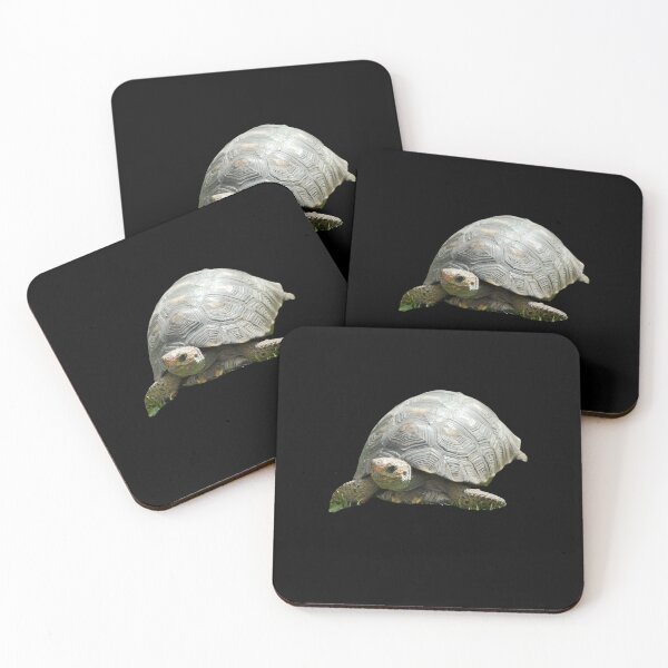 Item preview, galapagos tortoise in galapagos designed and sold by justbe  admirable.