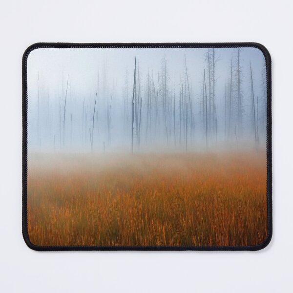 Item preview, Yellowstone National Park, After the Fire, Wyoming USA. designed and sold by PhotosEcosse.