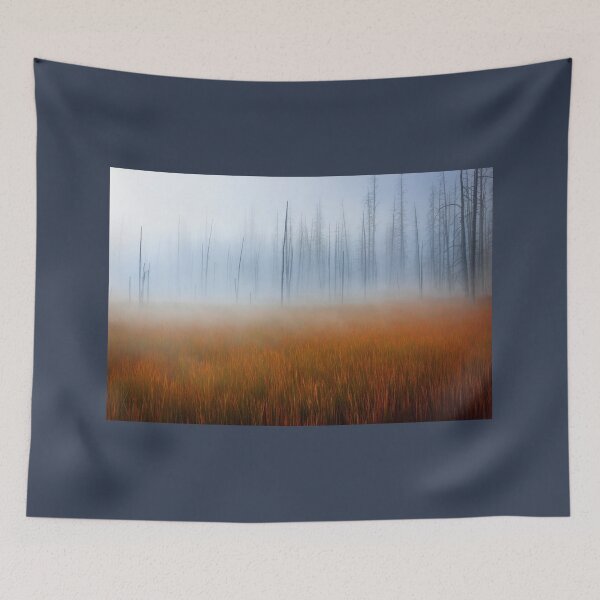 Item preview, Yellowstone National Park, After the Fire, Wyoming USA. designed and sold by PhotosEcosse.