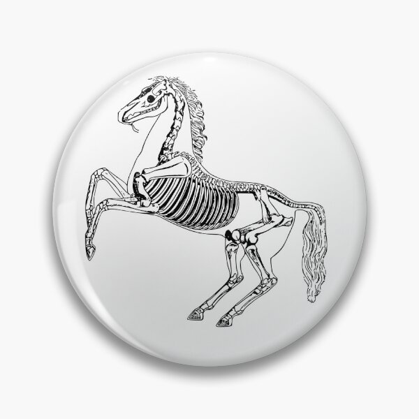 Item preview, Skeleton Horse designed and sold by IvekDesigns.